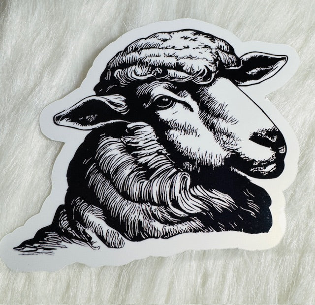 Sheep Head Sticker