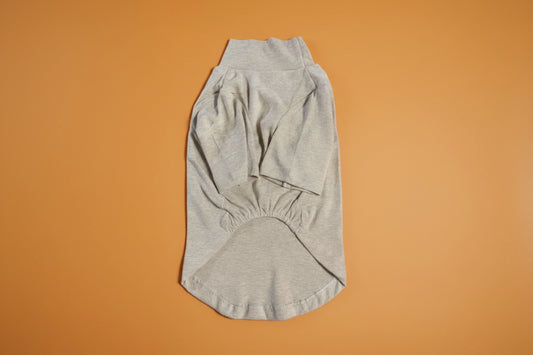 Pumpkin Spice Turtleneck Dog Shirt