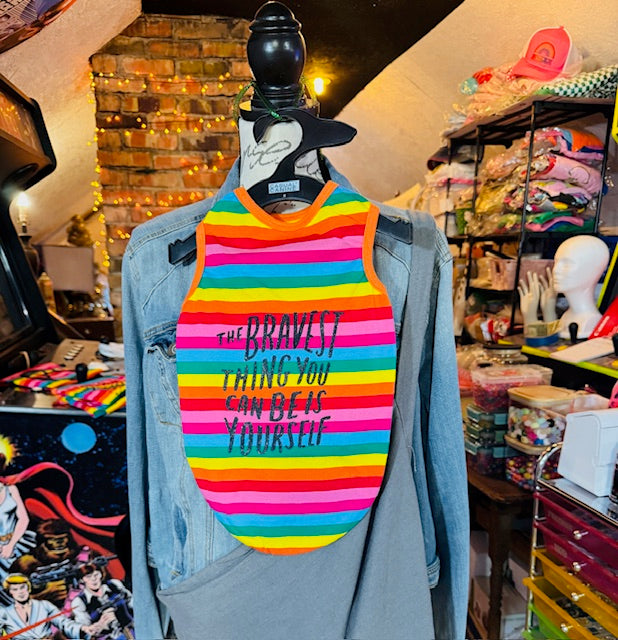 Pride Dog T Shirts XL