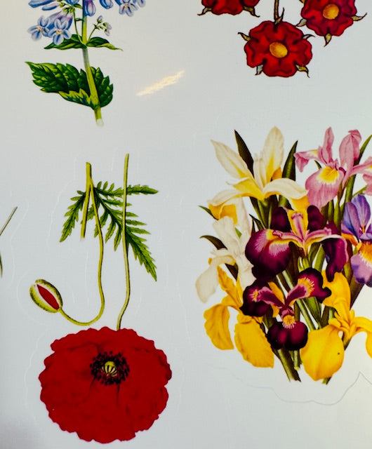 Flower Sticker Sheet