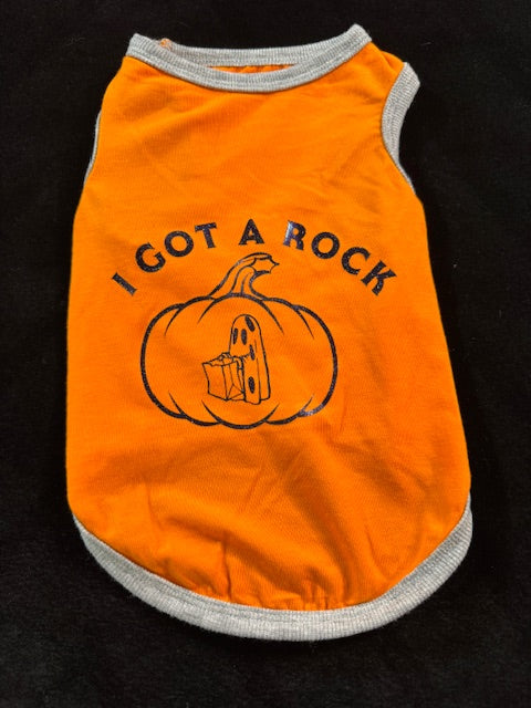 Witchy Fun Dog Shirts Medium