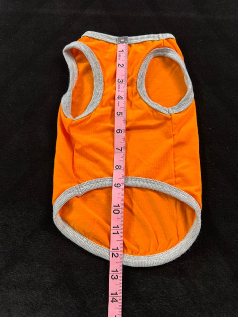 Witchy Fun Dog Shirts Medium