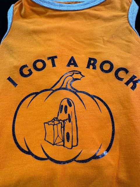 Witchy Fun Dog Shirts Medium