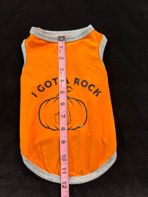 Witchy Fun Dog Shirts Medium