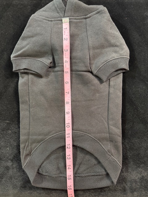 Salem Witches University Dog Hoodie Medium