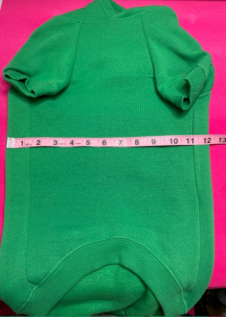 Froggy Green Dog Hoodie Large