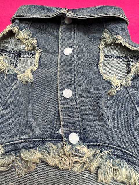 Candy Cane Dog Vest XL