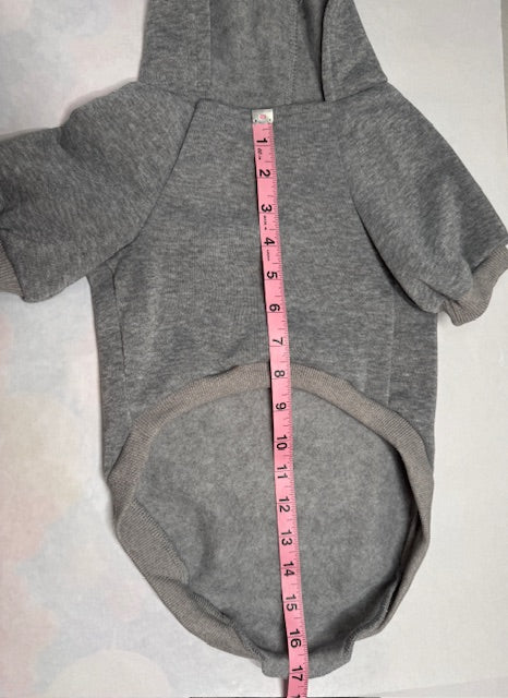 Dinosaur Valentine Dog Hoodie XXL
