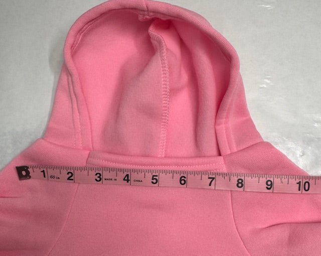 Pooh Honey Pot Pink Dog Hoodie XL