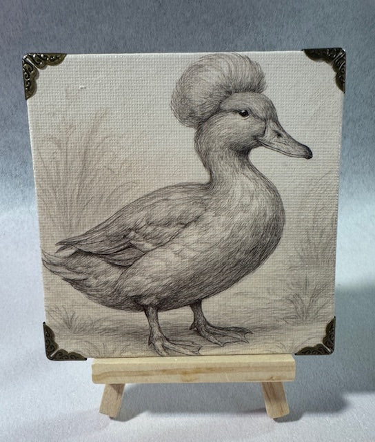 Crested Duck Mini Art