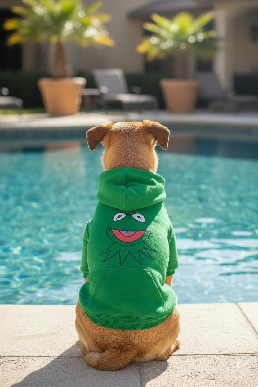 Froggy Green Dog Hoodie Large