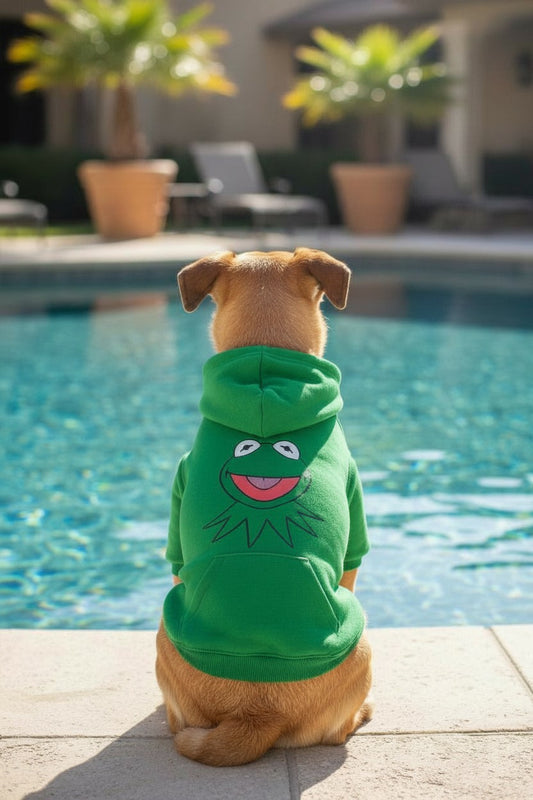 Froggy Green Dog Hoodie Large